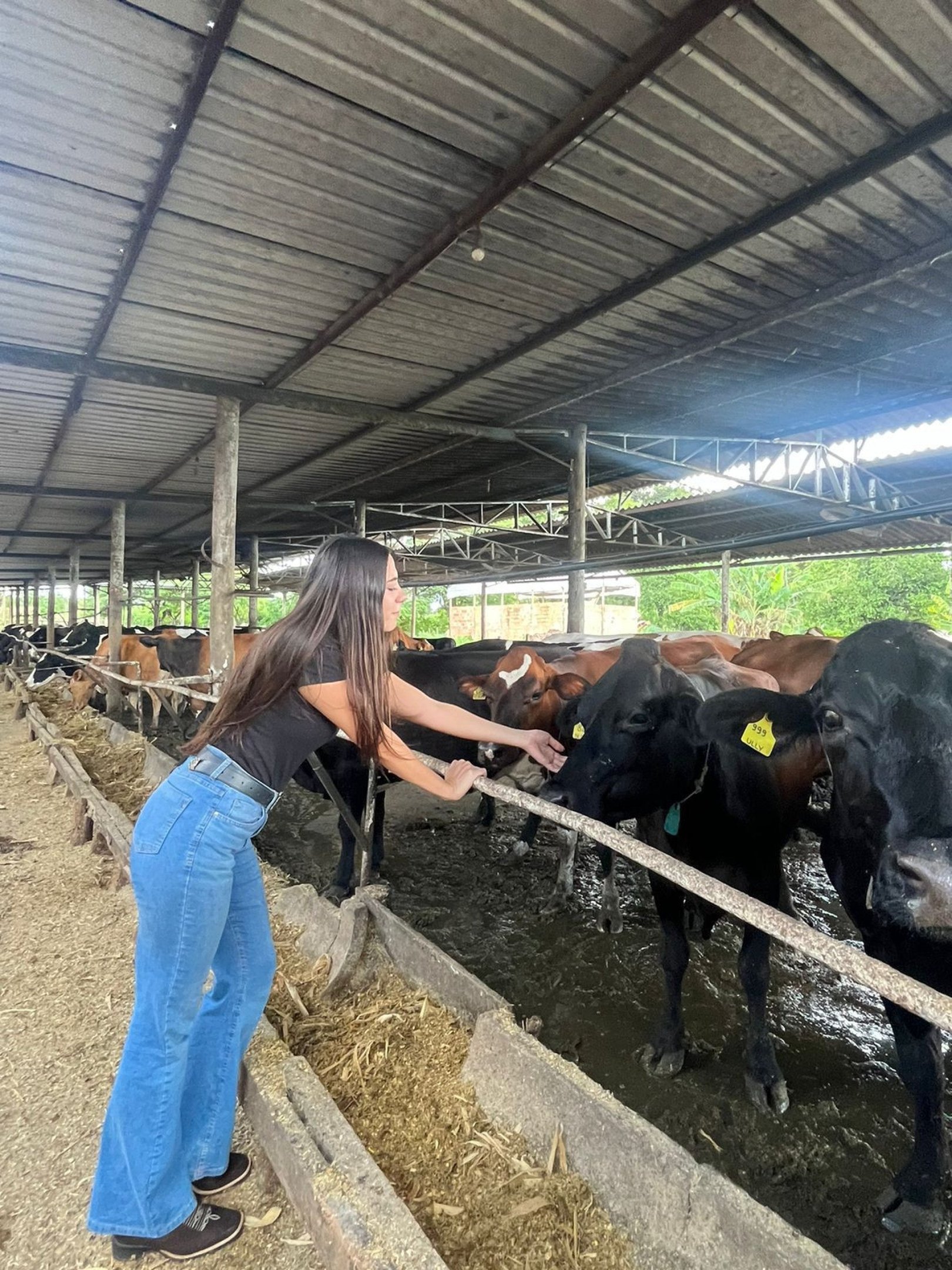 Estudantes do Curso de Medicina Veterinária do CEUB realizando atividade de campo durante a pesquisa