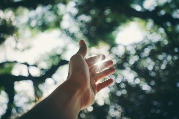 Células defensoras respondem ao estímulo da claridade  -  (crédito: Pexels)