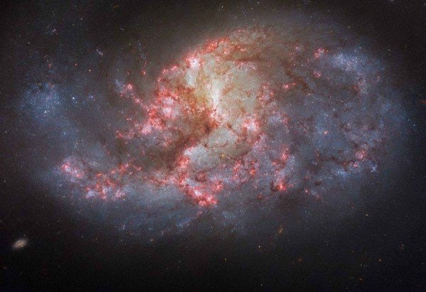 ESA/Hubble e NASA, R. Chandar, J. Lee e a equipe PHANGS-HST
