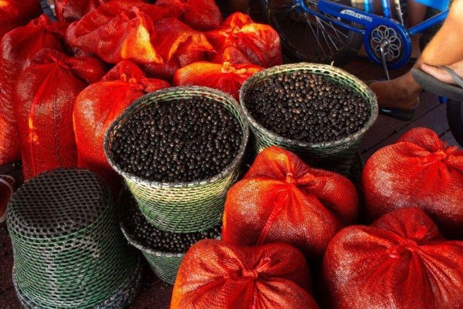 Aguaje é uma fruta que parece um tatu, encontrada na região amazônica do Peru - (crédito: Getty Images) Aguaje é uma fruta que parece um tatu, encontrada na região amazônica do Peru - (crédito: Getty Images)