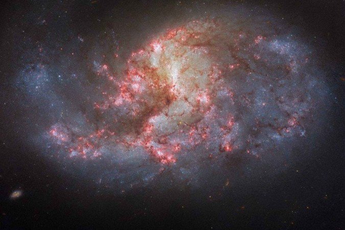 Esta imagem do Telescópio Espacial Hubble da NASA/ESA mostra a galáxia espiral barrada NGC 1385
- (crédito: ESA/Hubble e NASA, R. Chandar, J. Lee e a equipe PHANGS-HST) Esta imagem do Telescópio Espacial Hubble da NASA/ESA mostra a galáxia espiral barrada NGC 1385
- (crédito: ESA/Hubble e NASA, R. Chandar, J. Lee e a equipe PHANGS-HST)
