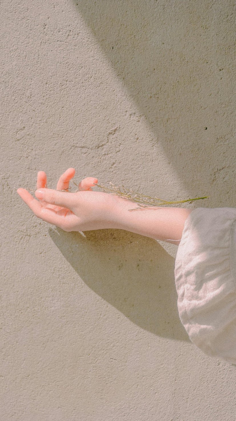 Sol  -  (crédito: Pexels)