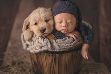A convivência com cães pode reduzir o risco de eczema em crianças
 -  (crédito: Goodfon/Divulgação )