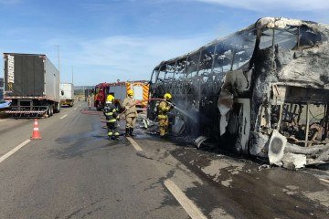 Ônibus de Brasília com 16 ageiros pega fogo na BR153 -  (crédito: CBMGO)