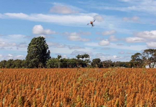 Divulgação/CropLife