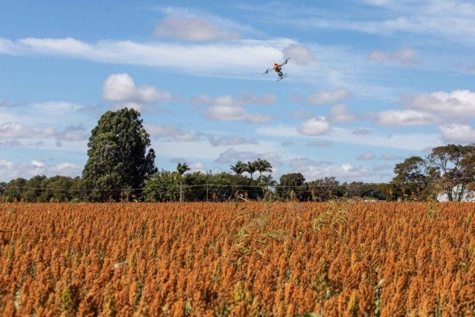 Dados da pesquisa Blink/CropLife Brasil indicam que a taxa média de adoção de bioinsumos pelo produtor rural subiu de 23% para 26% da área plantada de 77 milhões de hectares - (crédito: Divulgação/CropLife) Dados da pesquisa Blink/CropLife Brasil indicam que a taxa média de adoção de bioinsumos pelo produtor rural subiu de 23% para 26% da área plantada de 77 milhões de hectares - (crédito: Divulgação/CropLife)
