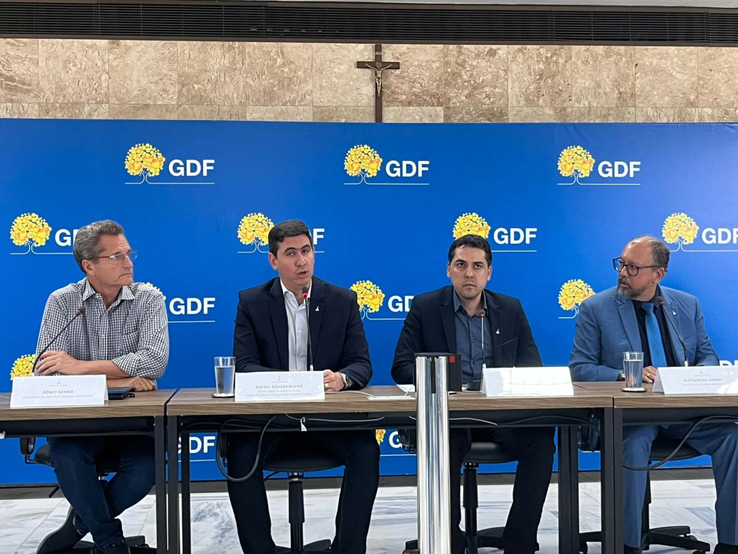 Gripe Aviária: 