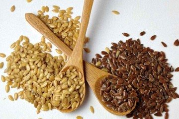Alimentos que ajudam no bom funcionamento do intestino; uma lista com dicas