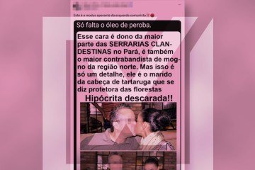 Não há provas de que Fábio Vaz de Lima, marido da ministra do Meio Ambiente e Mudança do Clima, Marina Silva, seja dono de serrarias clandestinas no Pará ou esteja envolvido com contrabando de mogno na região Norte -  (crédito: Reprodução/Comprova )
