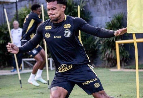 Foto: Raul Baretta/ Santos FC.