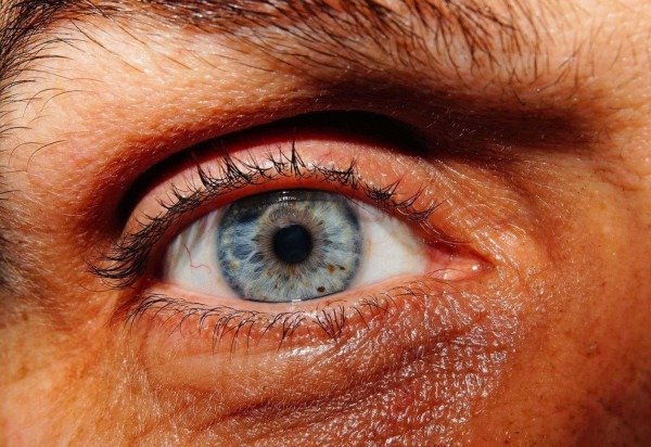 Pixabay/Divulgação