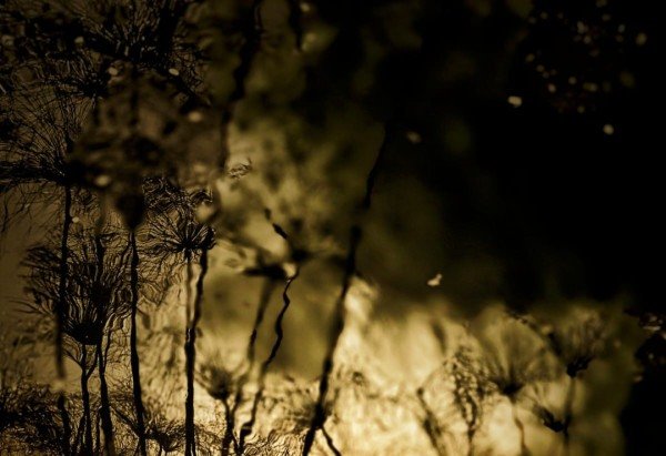 Fotógrafo há dois anos, Eduardo Querido apresenta produção no Quanto Café