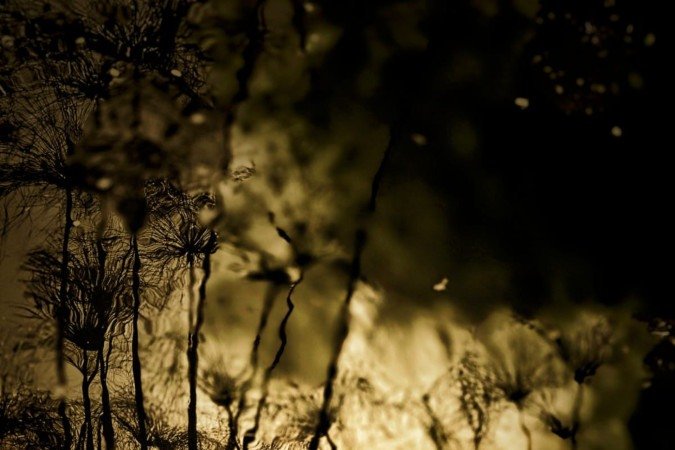 Foto de Eduardo Querido é uma das 14 imagens que compõem a exposição Foto de Eduardo Querido é uma das 14 imagens que compõem a exposição