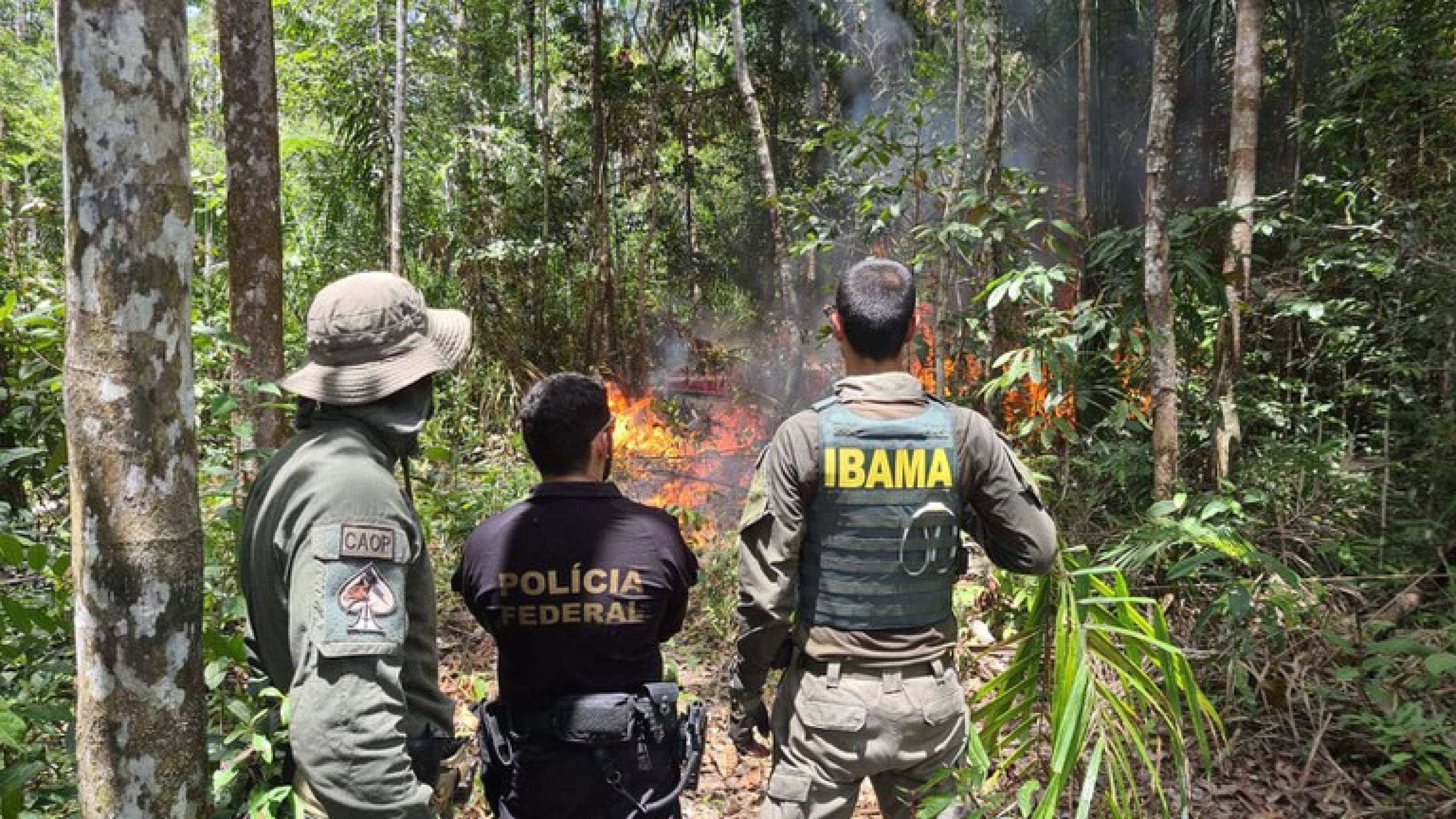 PF desmantela esquema de lavagem de dinheiro em garimpo de Terra Yanomami PF desmantela esquema de lavagem de dinheiro em garimpo de Terra Yanomami