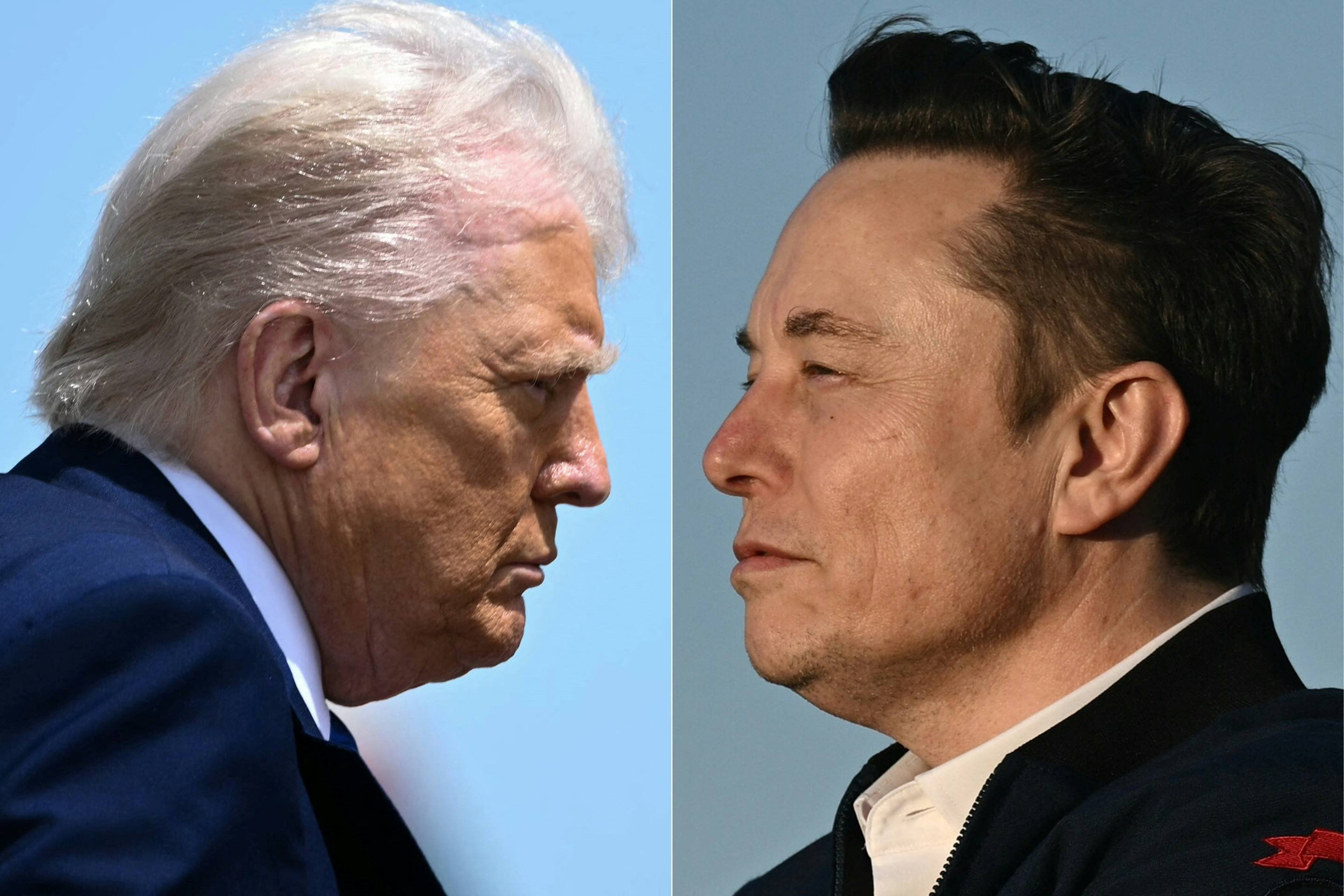Trump não tem planos de ligar para Elon Musk nesta sexta, diz Casa Branca