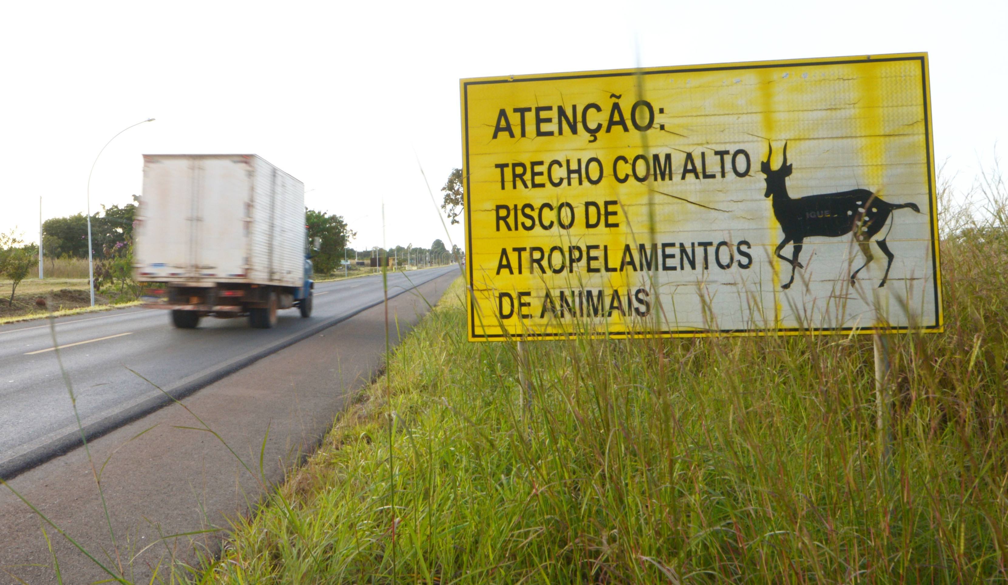 Sinalização para alertar sobre travessia de animais silvestres na DF-150, no Lago Oeste sentido Brazlândia