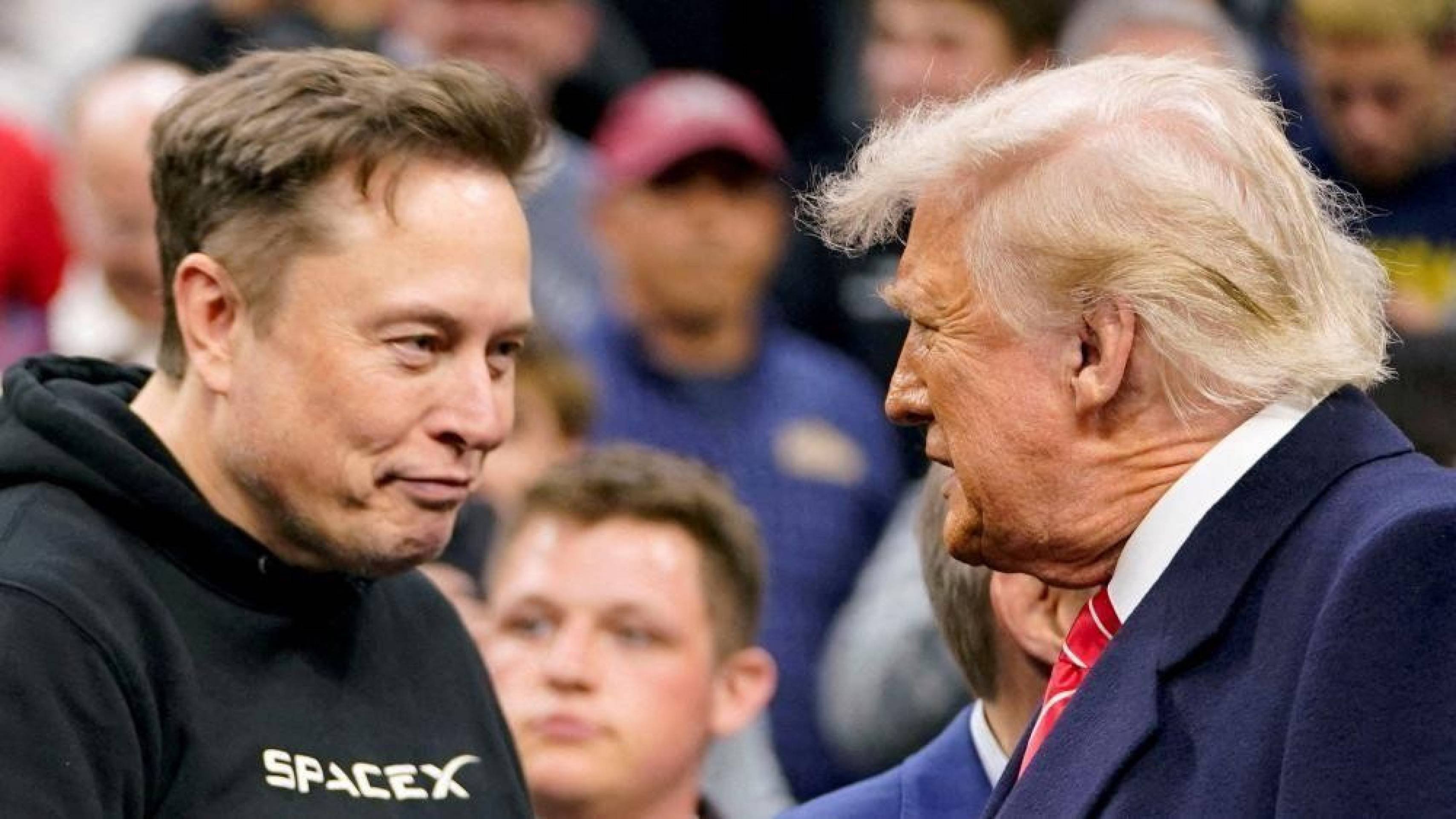 Trump x Musk: o que acontece quando homem mais rico do mundo enfrenta o mais poderoso?