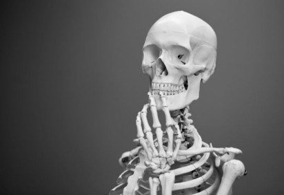 Medicina e pesquisa: Ossos são estudados para entender doenças ósseas e desenvolver tratamentos. -  (crédito: Mathew Schwartz/Unsplash)