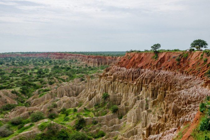 A Angola oferece a oportunidade de observar a vida selvagem de forma única (Imagem: Fabian Plock | Shutterstock) - (crédito: EdiCase) A Angola oferece a oportunidade de observar a vida selvagem de forma única (Imagem: Fabian Plock | Shutterstock) - (crédito: EdiCase)