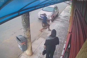 Cachorro cai de varanda em Planaltina e é resgatado por uma moça que ava pelo local -  (crédito: Reprodução/X)