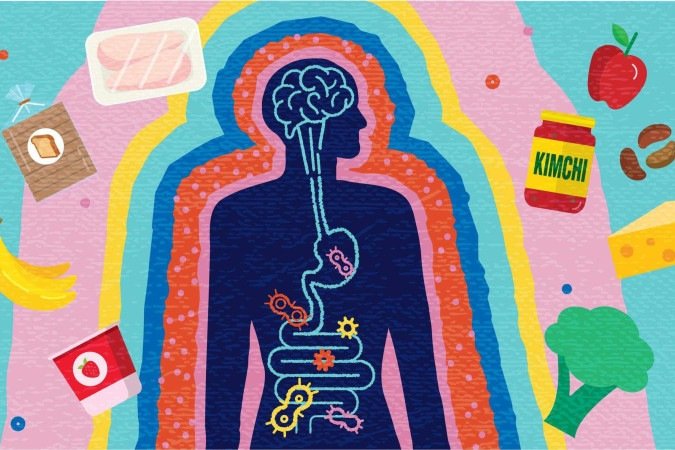 Especialistas acreditam que a saúde do nosso intestino pode influenciar nosso comportamento, níveis de estresse e sensação de bem-estar - (crédito: Getty Images) Especialistas acreditam que a saúde do nosso intestino pode influenciar nosso comportamento, níveis de estresse e sensação de bem-estar - (crédito: Getty Images)