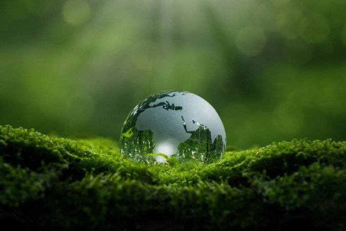 Temas sobre o meio ambiente podem ser cobrados nos vestibulares (Imagem: dee karen | Shutterstock) - (crédito: EdiCase) Temas sobre o meio ambiente podem ser cobrados nos vestibulares (Imagem: dee karen | Shutterstock) - (crédito: EdiCase)