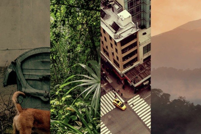 Só um pouco aqui
De María Ospina Pizano. Tradução: Silvia Massimini Felix. Instante, 176 páginas. R$ 74,90
