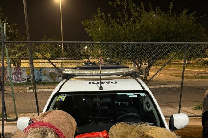 Cinco homens foram detidos por crime ambiental na região de São Sebastião - (crédito: PMDF/Divulgação) Cinco homens foram detidos por crime ambiental na região de São Sebastião - (crédito: PMDF/Divulgação)
