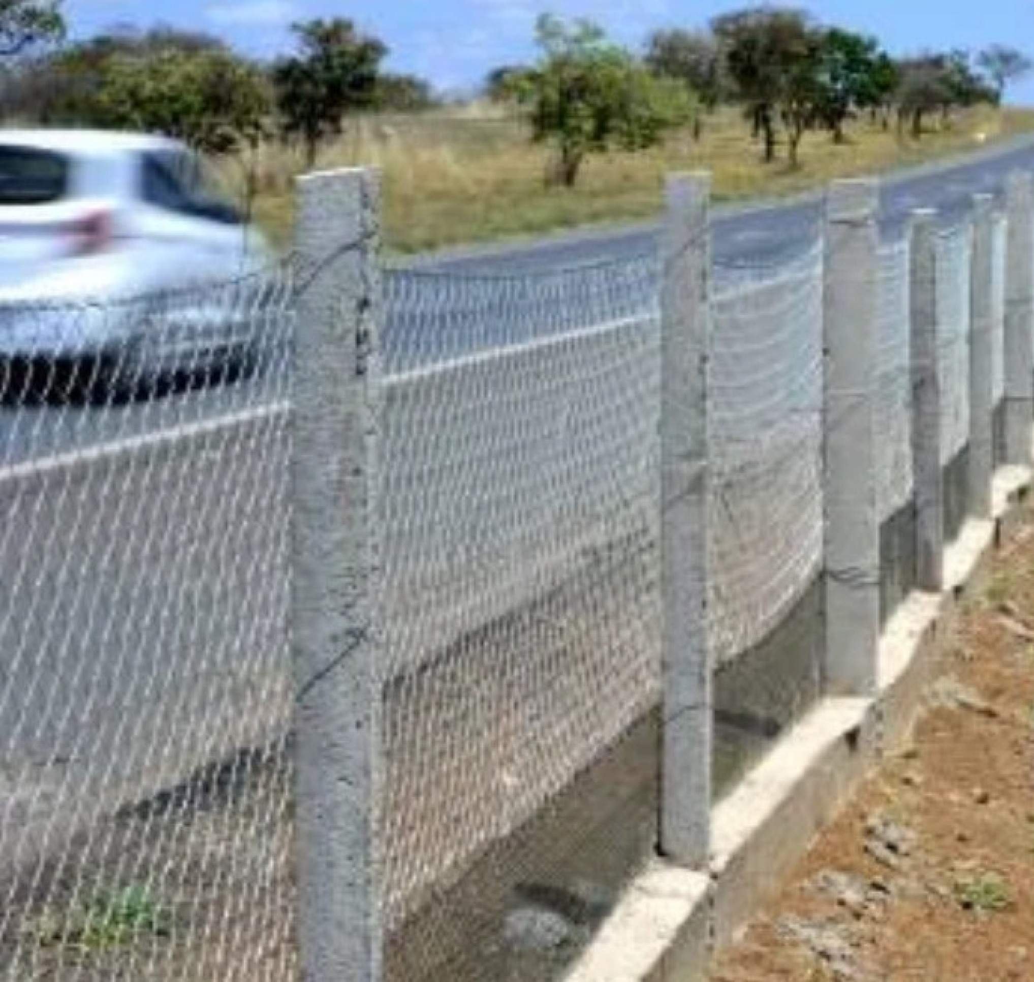Grade instalada para evitar que os animais atravessem a rodovia