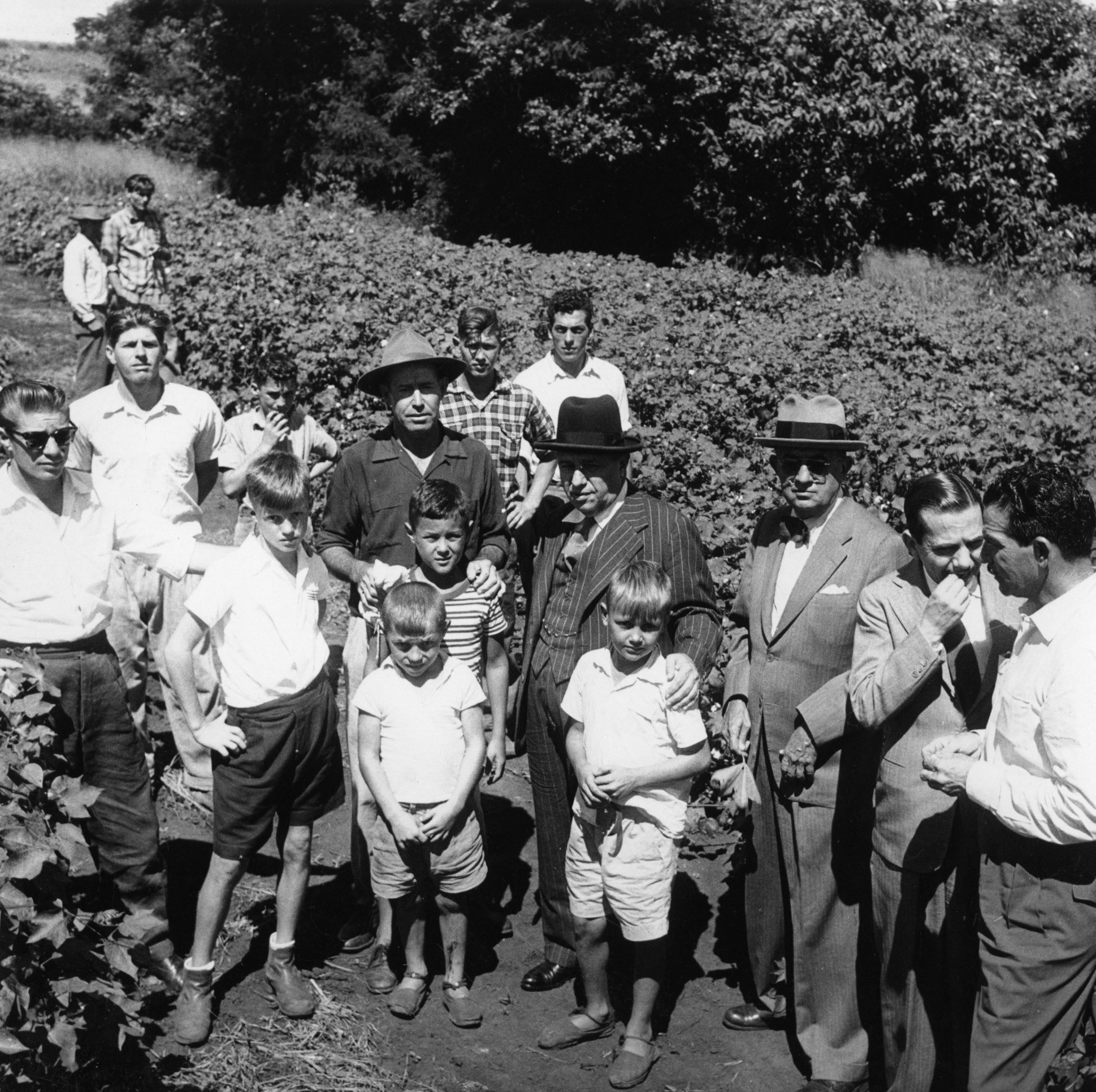 Exposição Assis Chateaubriand — Quem não ousa, não vence: Sempre esteve presente na vida agrícola brasileira, desenvolveu projetos arrojados 