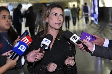 'Conseguimos entregar um relatório robusto, fruto de muito esforço da equipe', destacou Soraya  -  (crédito:  Jefferson Rudy/Agência Senado)
