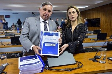 A relatora tem feito gestões para tentar estender o funcionamento da comissão, mas até o momento não obteve sucesso. Soraya (na foto ao lado de Izalci Lucas) chegou a mencionar a possibilidade de acionar o STF para garantir mais tempo
 -  (crédito:  Geraldo Magela/Agência Senado)