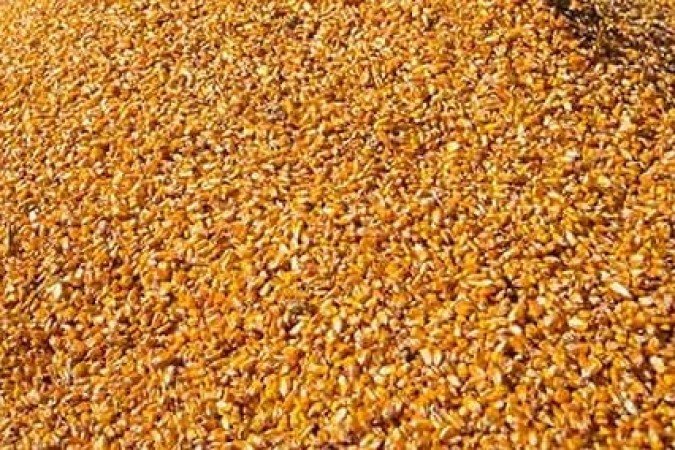 Uma casa ficou parcialmente destruída em Vilhena (RO), após ser atingida por toneladas de milho - (crédito: Flickr Wenderson Araujo) Uma casa ficou parcialmente destruída em Vilhena (RO), após ser atingida por toneladas de milho - (crédito: Flickr Wenderson Araujo)