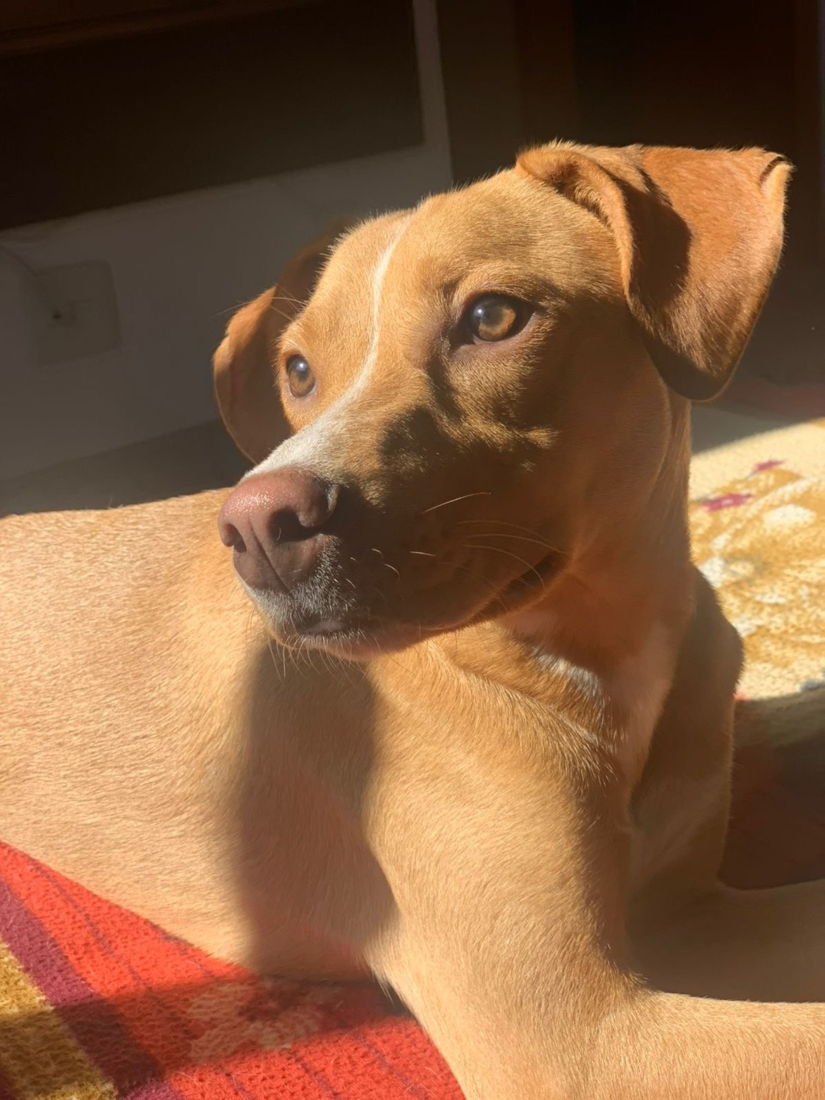 Manuel tem uma alimentação rica e variada