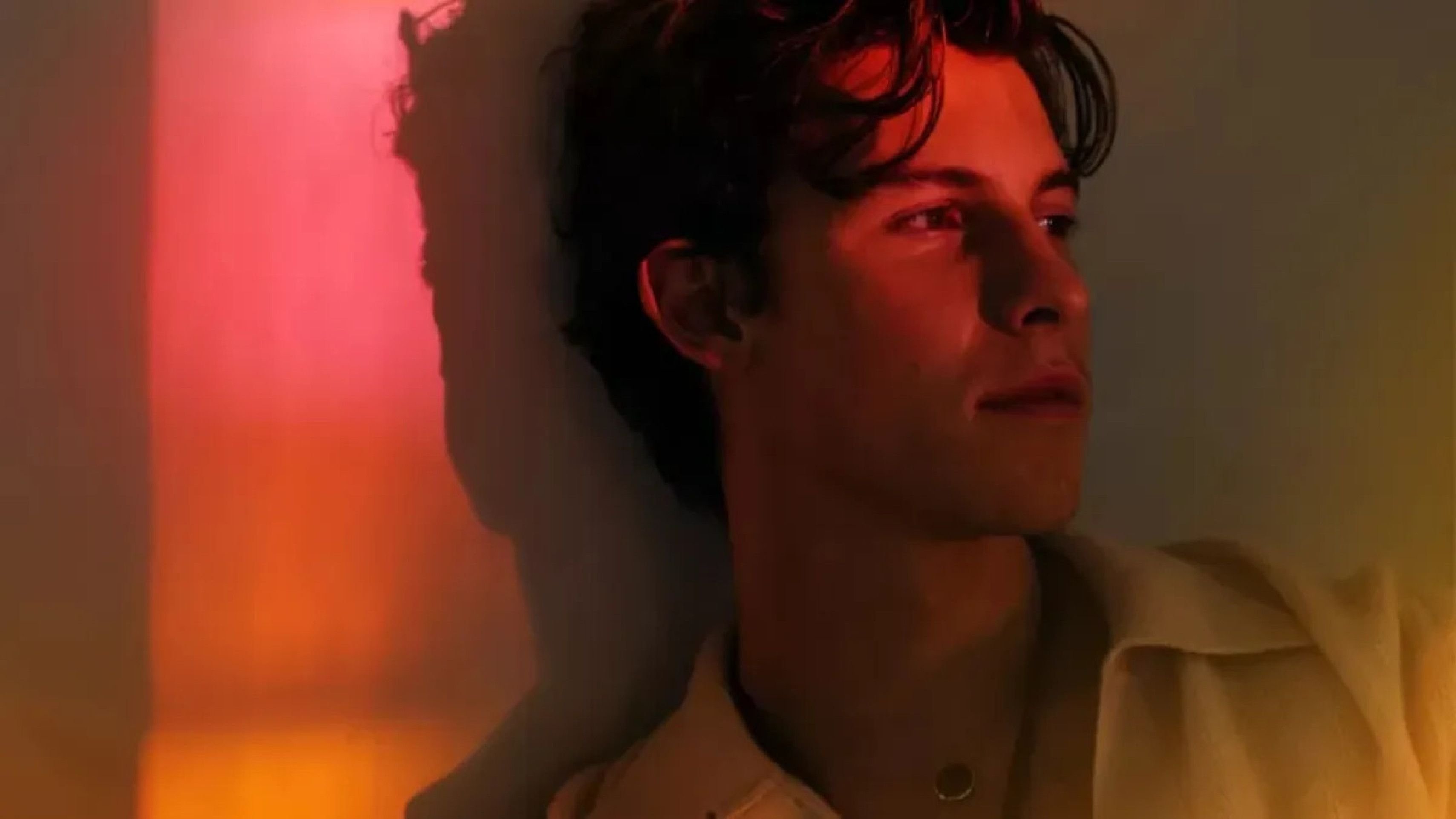 Shawn Mendes foi a inspiração de ‘Manchild’? O que se sabe