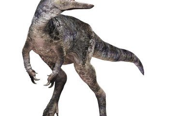 Embora existam fósseis completos que nos dão uma imagem clara do T. rex, seus ancestrais anteriores são mais misteriosos -  (crédito: Darla Zelenitsky)
