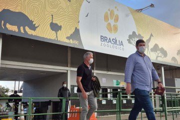Suspeita de grive aviária no Zoológico de Brasília -  (crédito: Minervino Júnior/CB/DA Press)