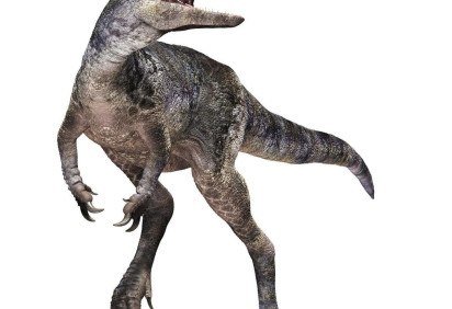 Embora existam fósseis completos que nos dão uma imagem clara do T. rex, seus ancestrais anteriores são mais misteriosos -  (crédito: Darla Zelenitsky)