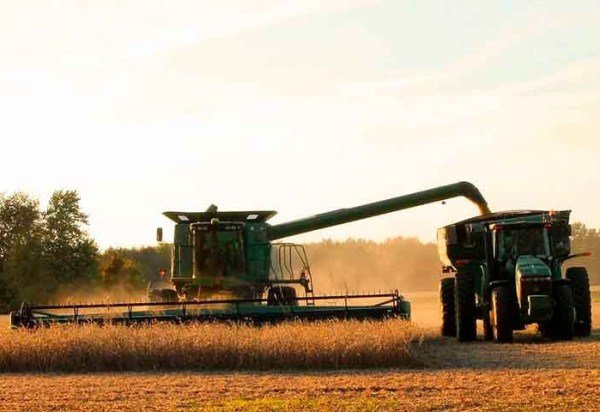 Imagem de CJ por Pixabay