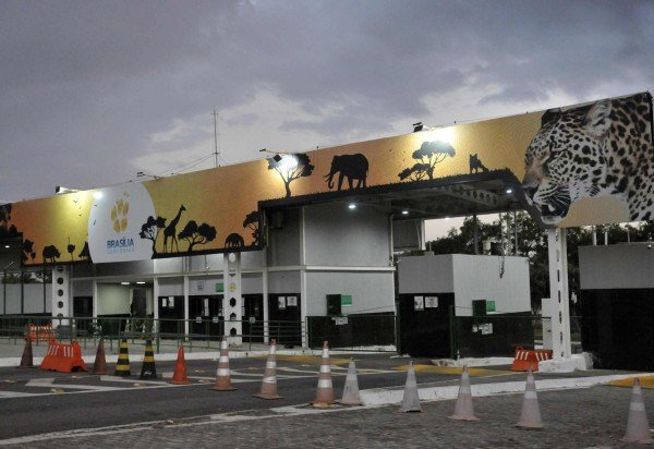 As visitas ao Zoológico seguem suspensas por tempo indeterminado - (crédito: Minervino Júnior/CB/D.A.Press)