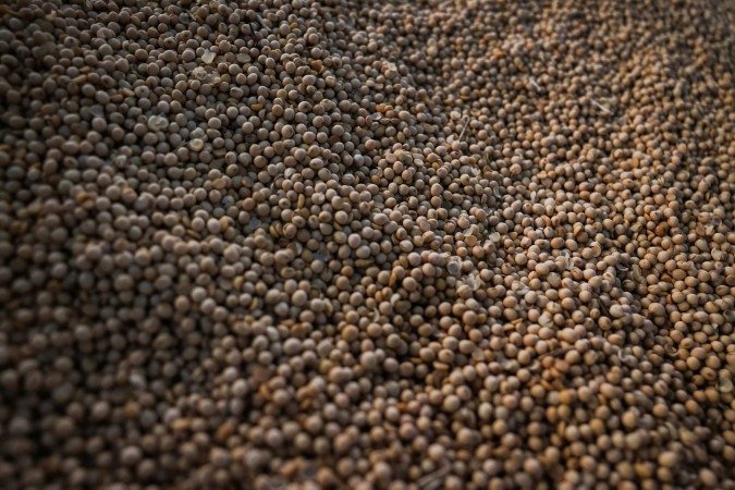 Os produtores de soja já finalizaram os trabalhos de colheita: produção está estimada em 169,6 milhões de toneladas, 21,9 milhões de toneladas superior à safra anterior, volume recorde na série histórica da Conab - (crédito: José Cruz/Agência Brasil) Os produtores de soja já finalizaram os trabalhos de colheita: produção está estimada em 169,6 milhões de toneladas, 21,9 milhões de toneladas superior à safra anterior, volume recorde na série histórica da Conab - (crédito: José Cruz/Agência Brasil)