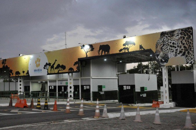 As visitas ao Zoológico seguem suspensas por tempo indeterminado - (crédito: Minervino Júnior/CB/D.A.Press) As visitas ao Zoológico seguem suspensas por tempo indeterminado - (crédito: Minervino Júnior/CB/D.A.Press)