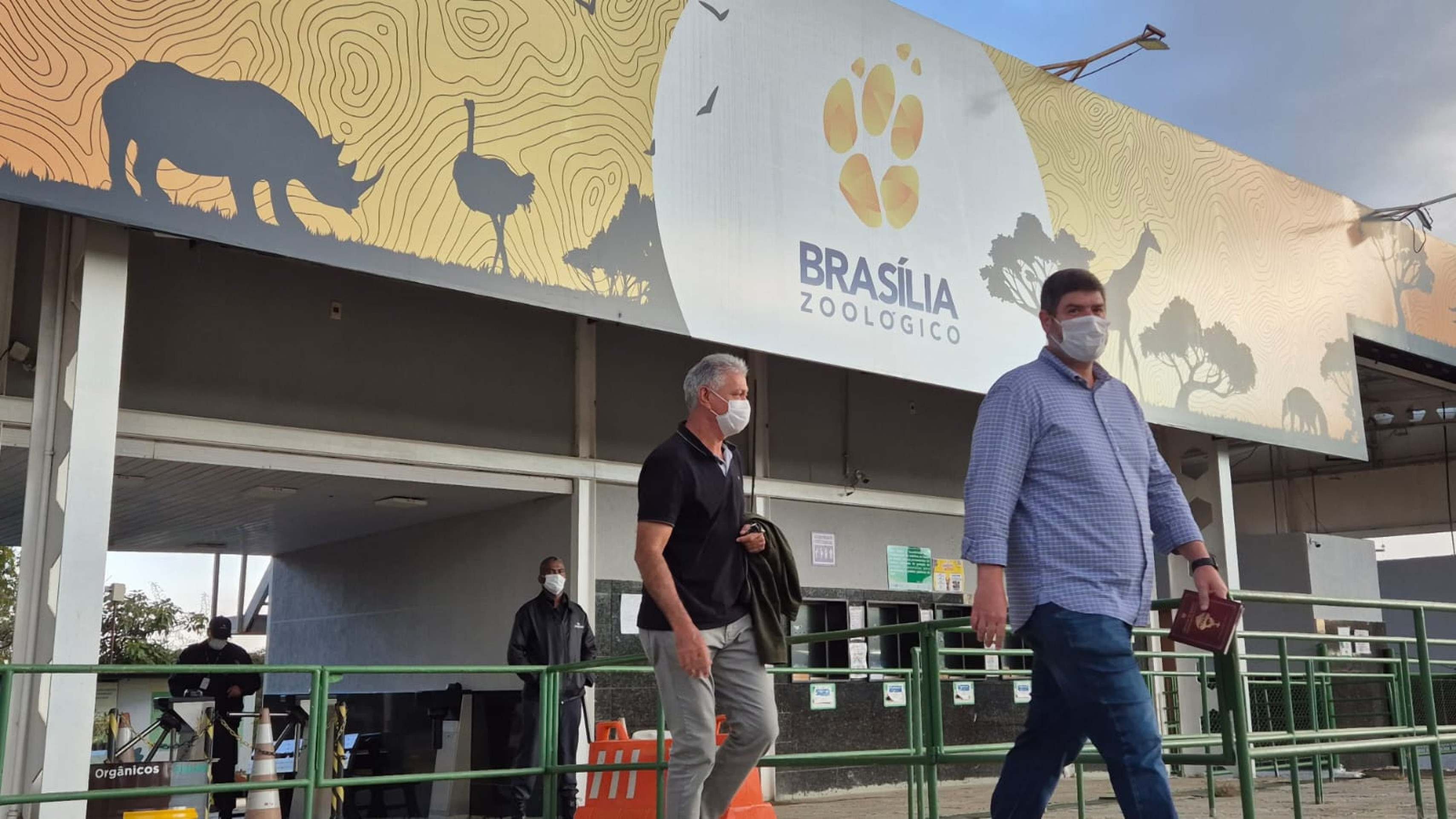 Gripe aviária: Zoológico de Brasília registra mais um caso suspeito Gripe aviária: Zoológico de Brasília registra mais um caso suspeito