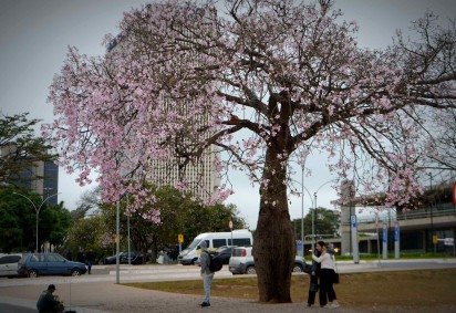 Brasilienses são surpreendidos com manhã fria nesta sexta (13)