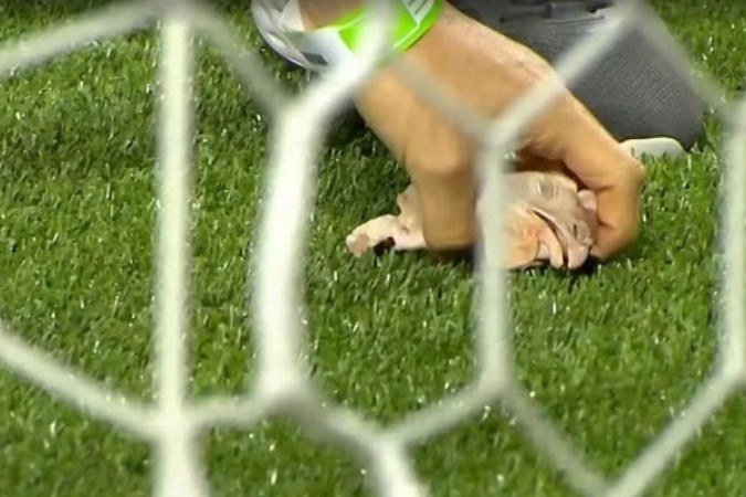 Palmeiras é punido por incidentes no dérbi - (crédito: Foto: Reprodução) Palmeiras é punido por incidentes no dérbi - (crédito: Foto: Reprodução)