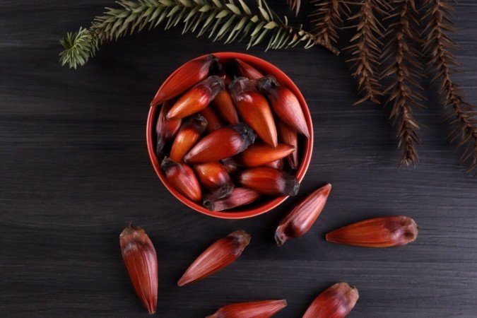 Além de ter um sabor que conquista muitas pessoas ao redor do país, o pinhão também é um alimento fonte de bons nutrientes (Imagem: Cassiano Correia | Shutterstock) - (crédito: EdiCase) Além de ter um sabor que conquista muitas pessoas ao redor do país, o pinhão também é um alimento fonte de bons nutrientes (Imagem: Cassiano Correia | Shutterstock) - (crédito: EdiCase)