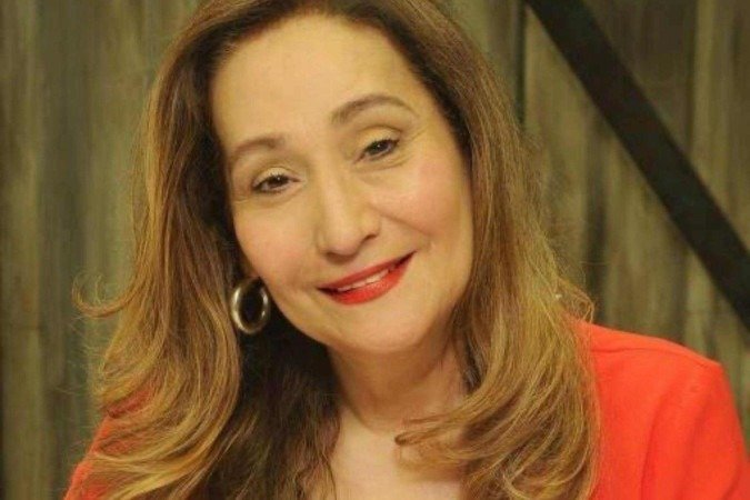 Sônia Abrão - (crédito: Foto reprodução internet) Sônia Abrão - (crédito: Foto reprodução internet)