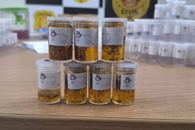 Foram encontradas drogas em diferentes fases de cultivo e processamento, prontas para a venda, entre elas, o mel azul. - (crédito: Material cedido ao Correio) Foram encontradas drogas em diferentes fases de cultivo e processamento, prontas para a venda, entre elas, o mel azul. - (crédito: Material cedido ao Correio)