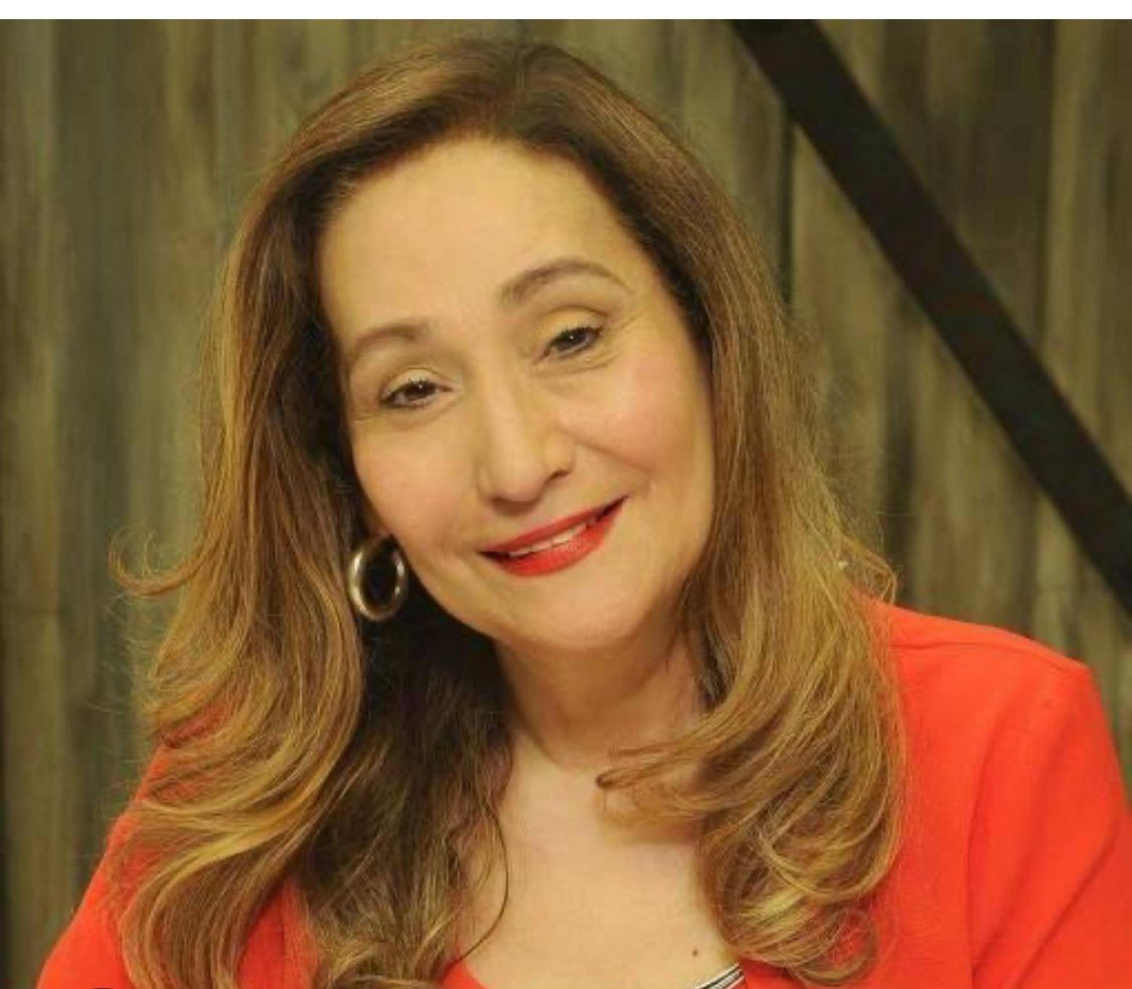 Sônia Abrão se revolta com boato de ida para a Band e desmente tudo nas redes