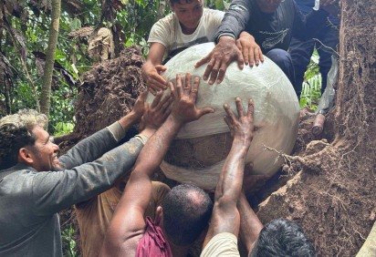 As peças enterradas sob uma árvore tombada e revelam indícios de práticas rituais e alimentares associadas aos antigos sepultamentos na região -  (crédito: Geórgea Holanda) -As peças enterradas sob uma árvore tombada e revelam indícios de práticas rituais e alimentares associadas aos antigos sepultamentos na região -  (crédito: Geórgea Holanda)